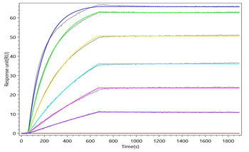 Recombinant Macaca fascicularis Transferrin receptor protein 1 (EGM_21146), partial (Active)