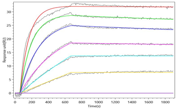 Recombinant Macaca fascicularis Transferrin receptor protein 1 (EGM_21146), partial (Active)