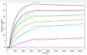 Recombinant Human Growth-regulated alpha protein (CXCL1)