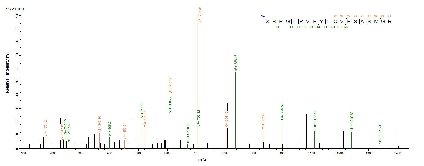 Bacterial fbpC protein