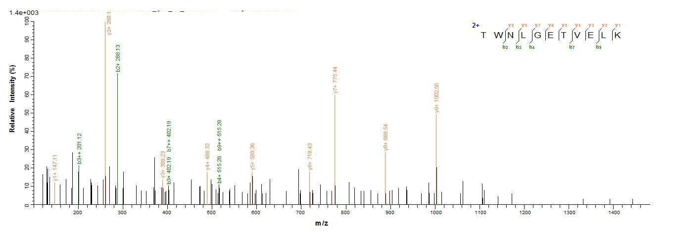 Human CD8A protein