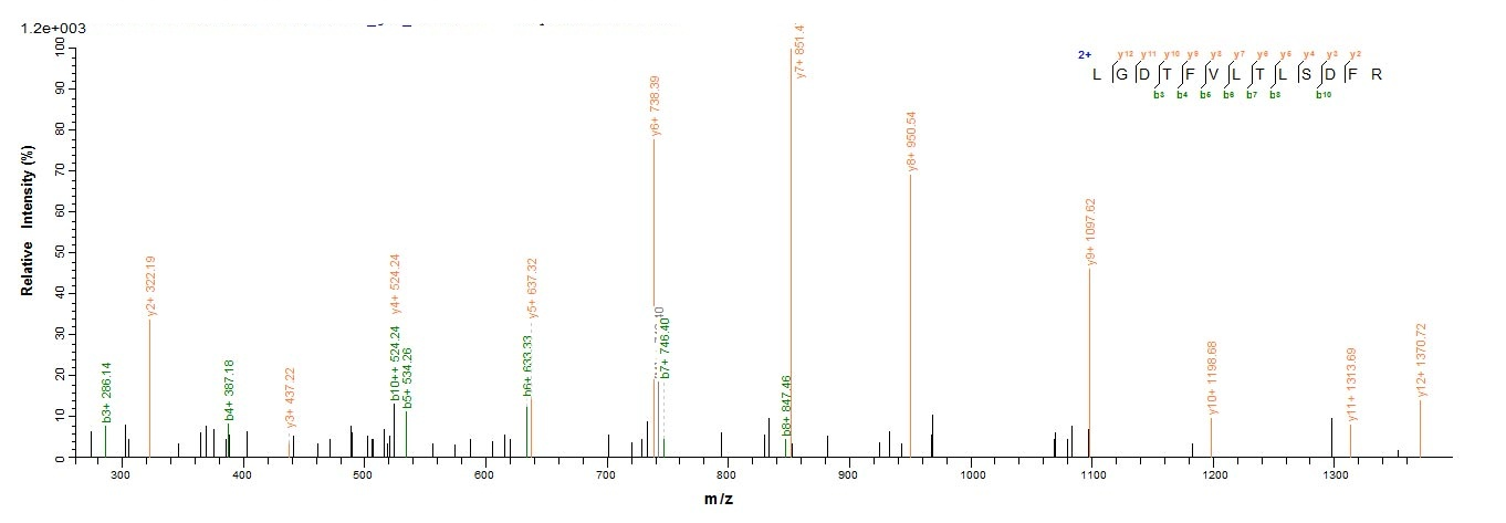 Human CD8A protein