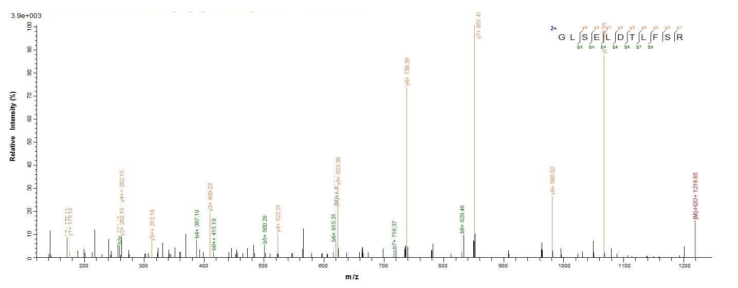 Human UL111A protein