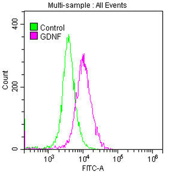 GDNF Antibody