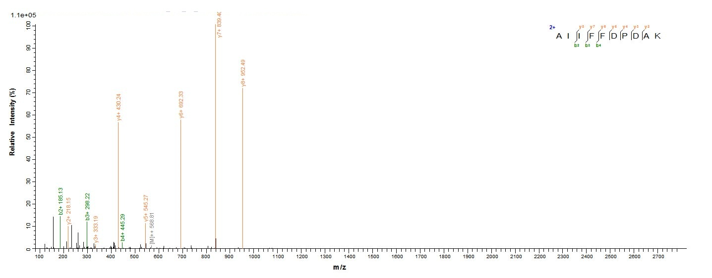 Human HNF4A protein