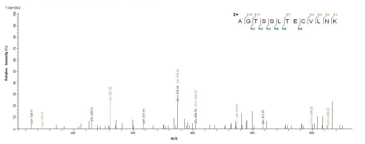 Human IL15RA protein
