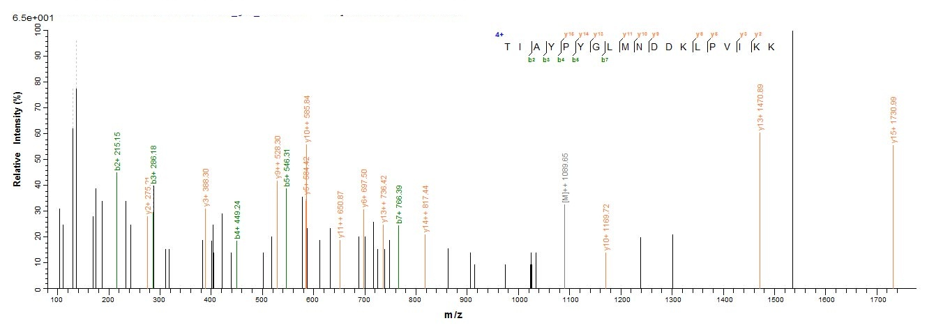Bacteria icaB protein