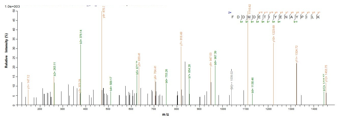 Bacteria icaB protein