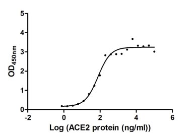 Human Angiotensin-converting enzyme 2 protein