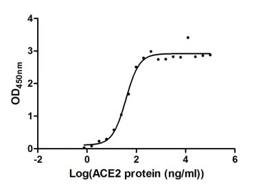Human Angiotensin-converting enzyme 2 protein