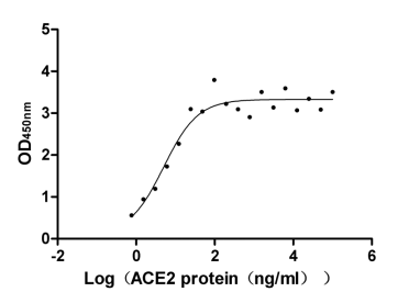 Human Angiotensin-converting enzyme 2 protein