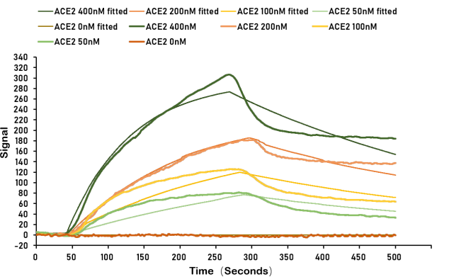 Human Angiotensin-converting enzyme 2 protein