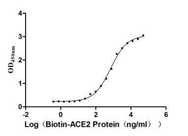 Human Novel Coronavirus Spike glycoprotein(S) protein