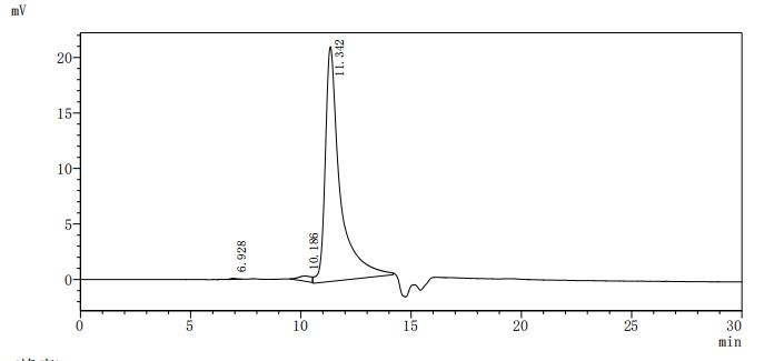 Severe acute respiratory syndrome coronavirus 2 Non-structural protein 9 protein