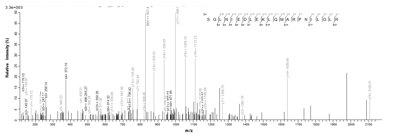 Human OSM protein