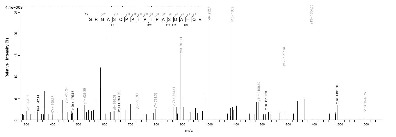 Human OSM protein