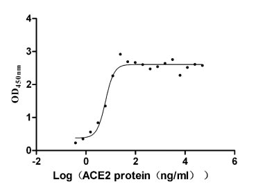 ACE2 protein