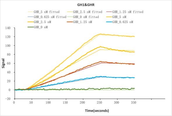 Human GHR protein