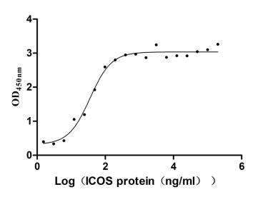 Human ICOSLG protein