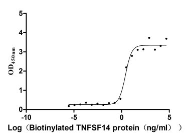 Human TNFRSF14 protein