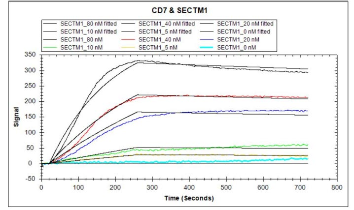 Human SECTM1 protein