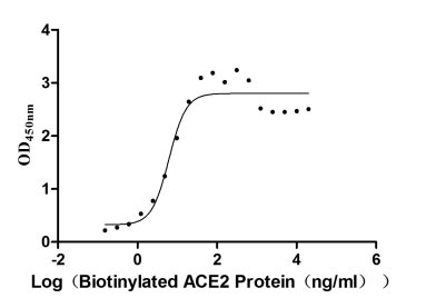 Human ACE2 protein
