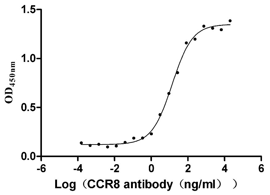 Human CCR8 protein
