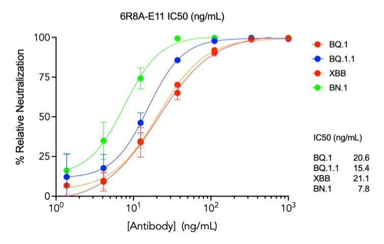 SARS-CoV-2 6R8A-E11 human neutralizing mAb