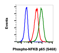 Phospho-NFKB p65 (Ser468) rabbit mAb Antibody