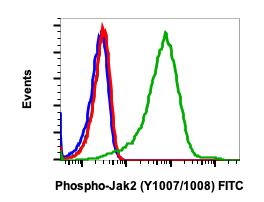 Phospho-Jak2 (Tyr1007/1008) (PB6) rabbit mAb FITC Conjugate Antibody