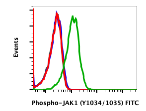 Phospho-Jak1 (Tyr1022/1023) (F11) rabbit mAb FITC Conjugate Antibody