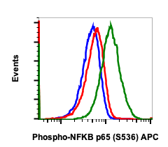 Phospho-NFKB p65 (Ser536) rabbit mAb APC Conjugate Antibody