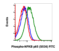 Phospho-NFKB p65 (Ser536) rabbit mAb FITC Conjugate Antibody
