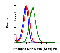 Phospho-NFKB p65 (Ser536) rabbit mAb PE conjugate Antibody