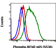 Phospho-NFKB p65 (Ser536) rabbit mAb Antibody