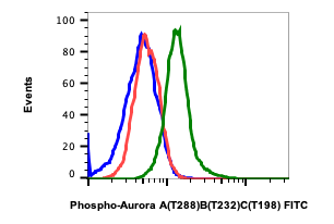 Phospho-Aurora A (Thr288)/Aurora B (Thr232)/Aurora C (Thr198) rabbit mAb FITC conjugate Antibody