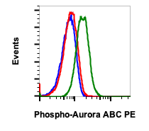 Phospho-Aurora A (Thr288)/Aurora B (Thr232)/Aurora C (Thr198) rabbit mAb PE Conjugate Antibody