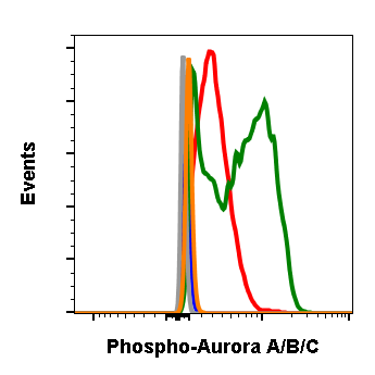 Phospho-Aurora A (Thr288)/Aurora B (Thr232)/Aurora C (Thr198) rabbit mAb Antibody
