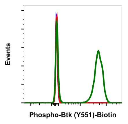 Phospho-Btk (Tyr551) (G12) rabbit mAb Biotin conjugate Antibody
