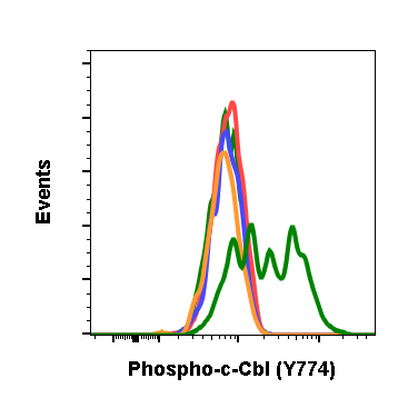 Phospho-c-Cbl (Tyr774) (R3B8) rabbit mAb Antibody