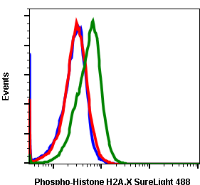 Phospho-Histone H2A.X (Ser139) (1E4) rabbit mAb SureLight488 conjugate Antibody