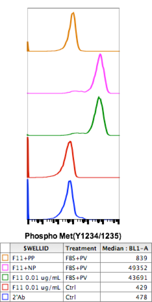 Phospho-MET (Tyr1234/1235) (6F11) rabbit mAb Antibody