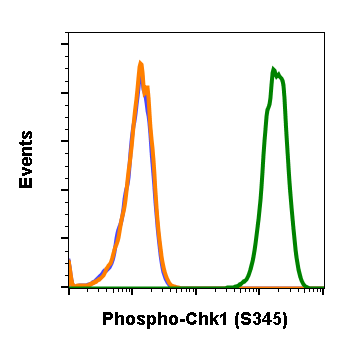 Phospho-Chk1 (Ser345) (R3F9) rabbit mAb Antibody