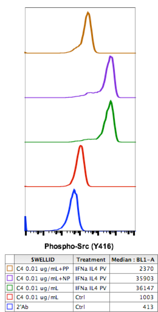 Phospho-Src (Tyr416) (C4) rabbit mAb Antibody