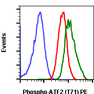 Phospho-ATF2 (Thr71) (G3) rabbit mAb PE conjugate Antibody