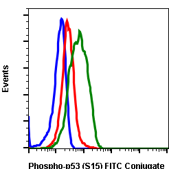 Phospho-p53 (Ser15) (1C11) rabbit mAb FITC conjugate Antibody