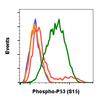 Phospho-p53 (Ser15) (1C11) rabbit mAb Antibody