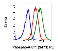 Phospho-Akt1 (Ser473) rabbit mAb PE conjugate Antibody
