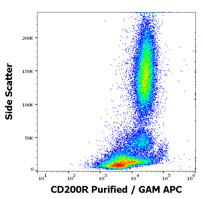 CD200R Antibody