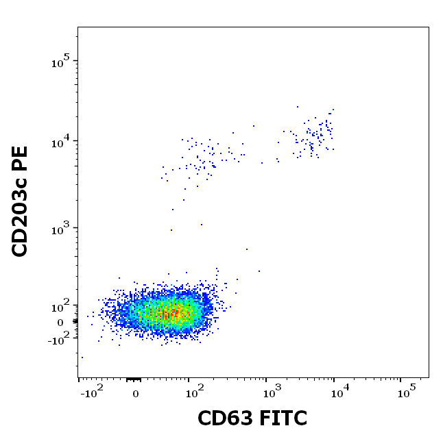 rAra h 1 (Arachis hypogaea 1.0101) Antibody